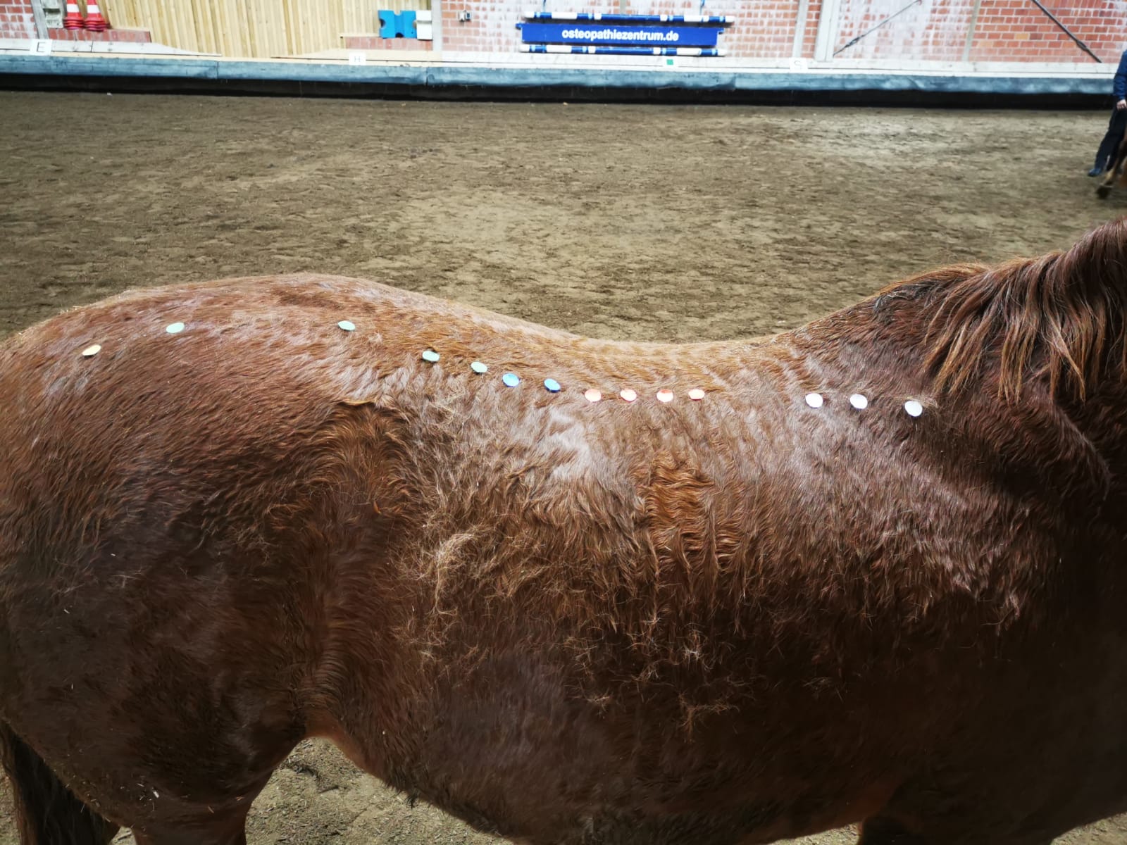 WhatsApp Image 2025-11-01 at 21.11.06