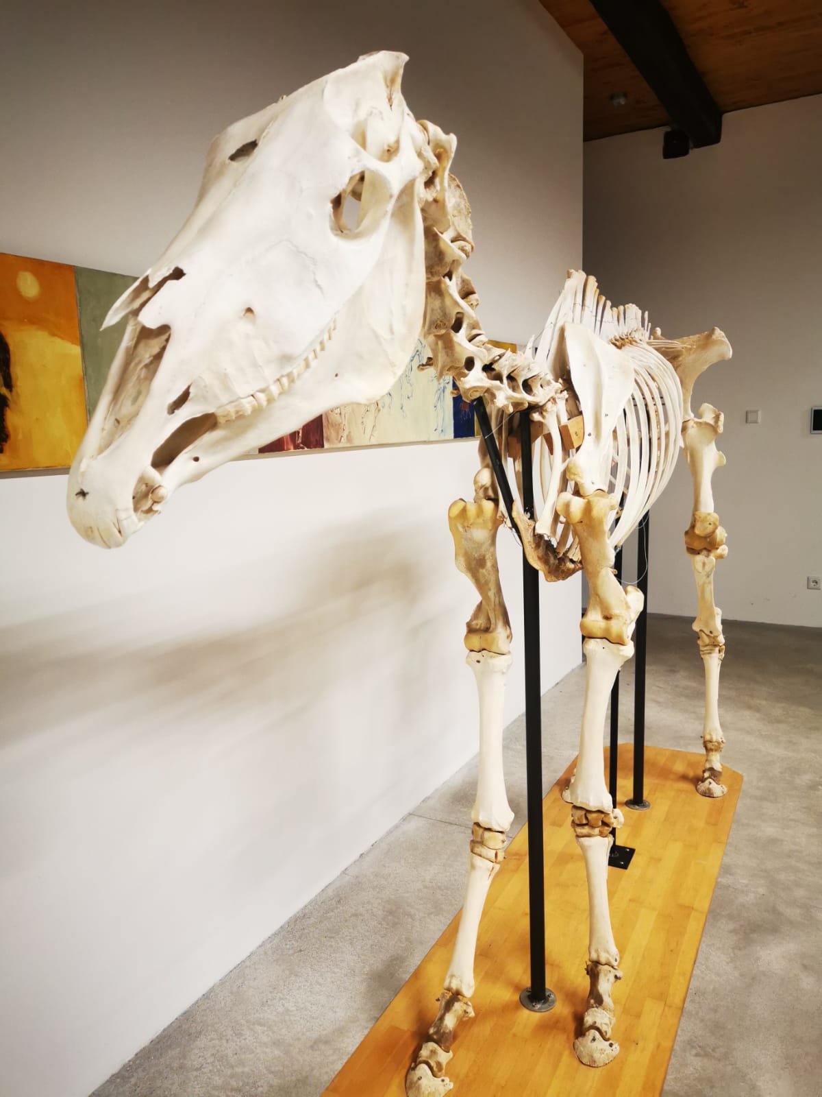 WhatsApp Image 2025-11-01 atwerer